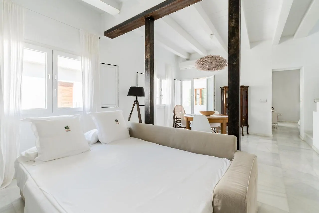 El Erizo Apartamentos Tarifa Spain